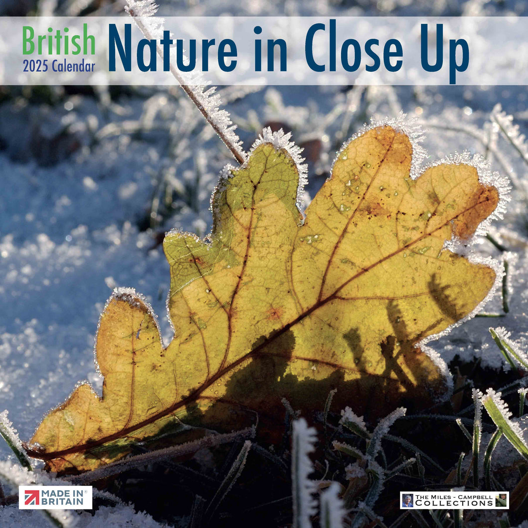 British Nature In Close Up 2025 Calendar