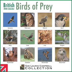 British Birds of Prey 2026 Calendar